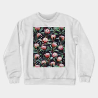 Evening Proteas - Pink on Charcoal Crewneck Sweatshirt